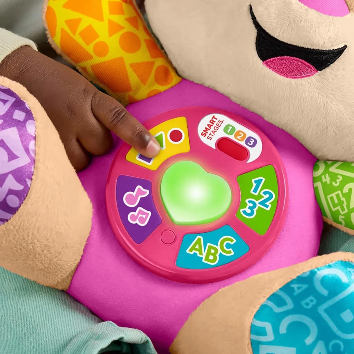 Fisher-Price Fisher Price Eğitici Köpekçiğin Kız Kardeşi